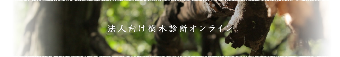 法人向け樹木診断オンライン