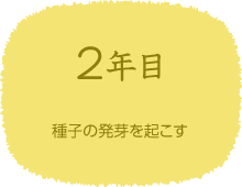 2年目　種子の発芽を起こす