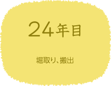 24年目　堀取り、搬出