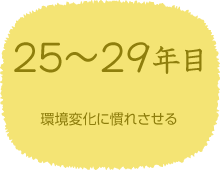 25〜29年目　環境変化に慣れさせる